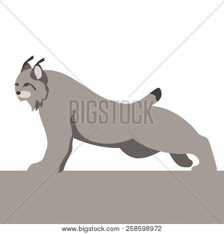 Lynx  Vector Illustration Flat Style Profile Side View