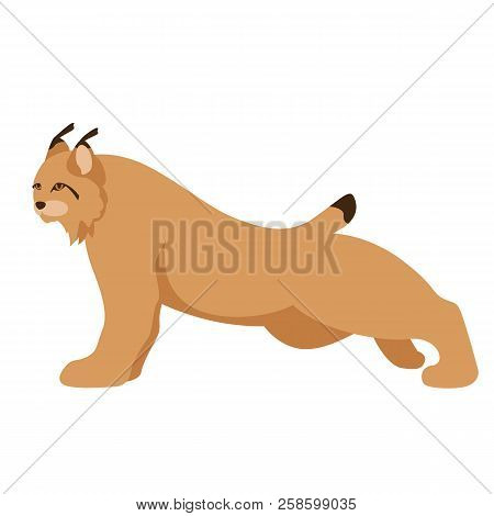 Lynx  Vector Illustration Flat Style Profile Side View