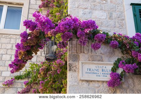 Split, Croatia, September 15, 2016 -  Beautiful Croatian Number Plate Of The Road With Bougainvillea