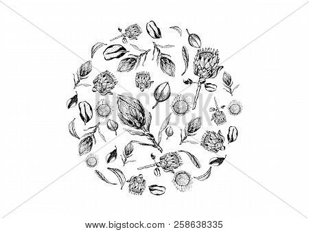 King Protea Flowers, Buds And Leaves Items Composed In Circle Shape. Protea, Symbol Of The South Afr