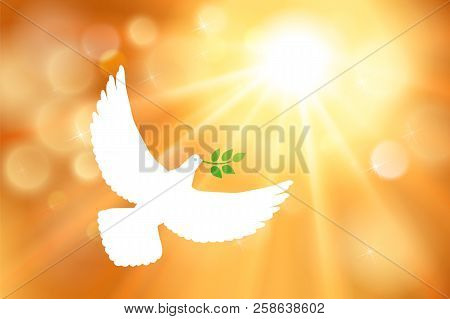 White Dove Carrying Leaf Branch And International Day Of Peace. World Water Day. Vector Image, Sun, 