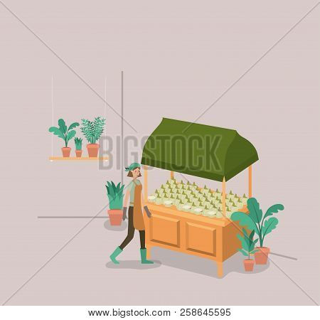 Woman With Plants Vivarium In Kiosk Vector Illustration Design