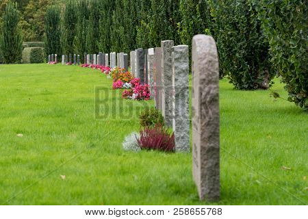 Line Of Gravestones And Flowers In A Swedish Cemetery