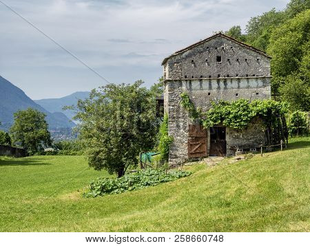 The Mountain Road From Arcumeggia To Laveno, Varese, Lombardy, Italy, At Summer, With Lilies