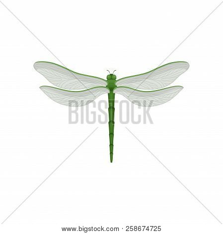 Flar Vector Icon Of Beautiful Dragonfly With Long Green Body And Two Pairs Of Large Transparent Wing