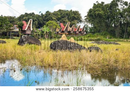Landscape With Traditional Tongkonan Houses In Tana Toraja Highlands Near Batutumongi Village. South