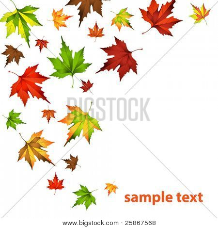 vektor illustration av hösten blad falla