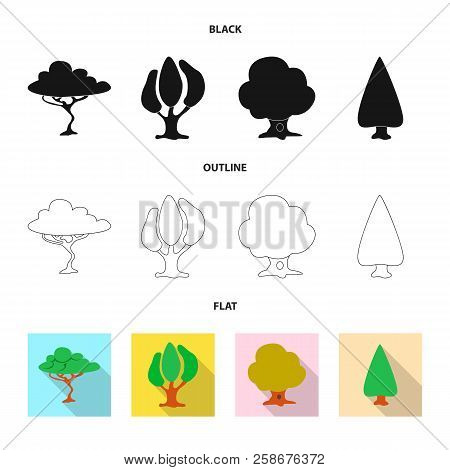 Vector Illustration Of Tree And Nature Icon. Set Of Tree And Crown Vector Icon For Stock.