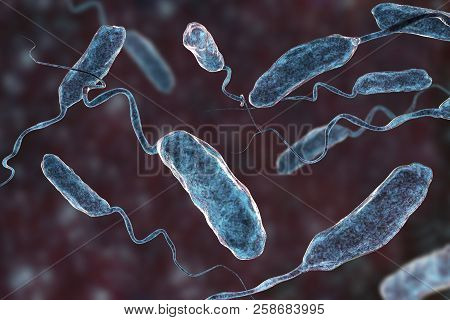 Vibrio Cholerae Bacteria, 3d Illustration. Bacterium Which Causes Cholera Disease And Is Transmitted
