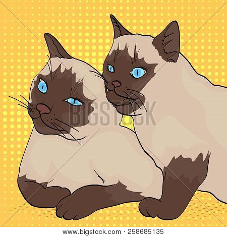 Pop Art Background. Two Cats, The Animal Bites The Other. Siberian Breed, Color Neva Masquerade Or S