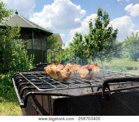 Beautiful Tasty Food From Slice Grilled Chicken Meats, Roast On Metal Brazier. Meat Of Bird With Cri