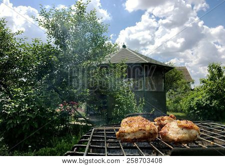 Beautiful Tasty Food From Slice Grilled Chicken Meats, Roast On Metal Brazier. Meat Of Bird With Cri