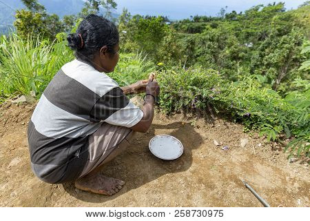 Pemo, Indonesia - May 15: An Unidentified Woman Carves The Skin Off An Edible Root Near Pemo, Indone