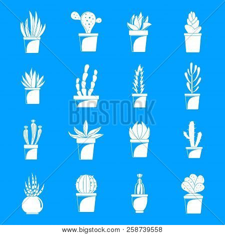 Succulent And Cactus Flowers Plant Floral Icons Set. Simple Illustration Of 16 Succulent And Cactus 