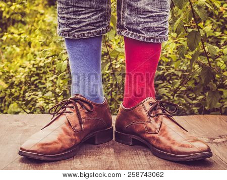 Men's Legs In Stylish Shoes, Bright, Multi Colored, Variegated Socks