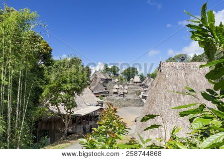 Coffee And Bamboo Plants At The Entrance To The Bena Traditional Village In East Nusa Tenggara, Indo
