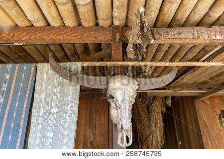A Closeup Of A Water Buffalo Skull And Pig Mandibles Leftover From Ritual Slaughter In The Bena Trad