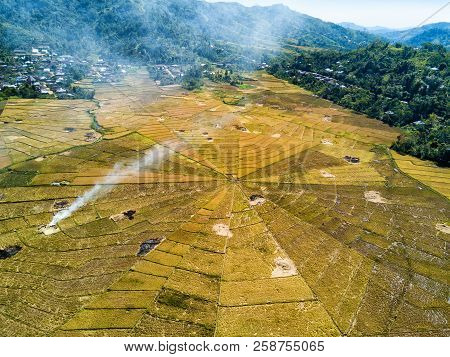 Aerial View Of The Harvest And Burning Of Rice Fields At The Famous Spider Rice Fields Near Ruteng, 