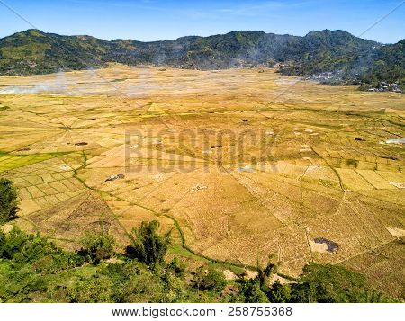 Aerial Wide Angle View Of The Spider Rice Fields At Harvest Time Near Ruteng, Indonesia.