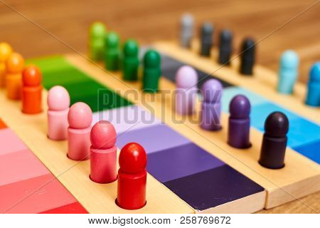 Montessori Color Wood Color Gamut Box For School