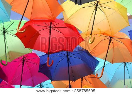 Umbrellas