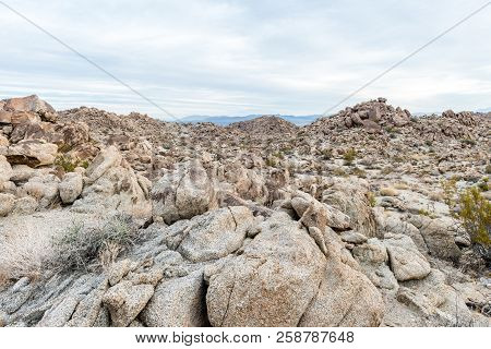 Dawn In The Porcupine Wash Wilderness Area In Joshua Tree National Park, California