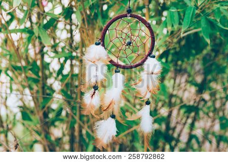 Woven Round Dream Catcher With Beads Feathers Hanging Swinging In The Wind In Bamboo Forest. Spiritu