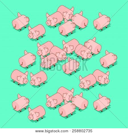 Herd Pigs. Pig Farm Animal. Vector Illustration