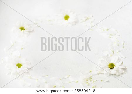 Daisy Wreath On White Background. Herbera Flowers In A Circle. Minimalist Monochrome Natural Decor. 