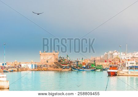 View On Boats In The Port Of Essaouira In Morocco