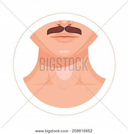 Human Throat, Collarbone, Lips, Nose And Mustache Vector