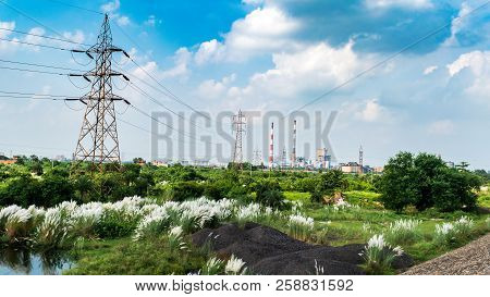 Beautiful Kans Grass Blooming Overlooking A Power Plant Industry.