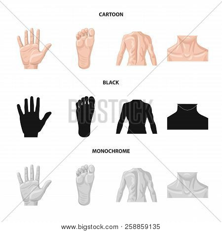 Vector Illustration Of Human And Part Sign. Collection Of Human And Woman Vector Icon For Stock.