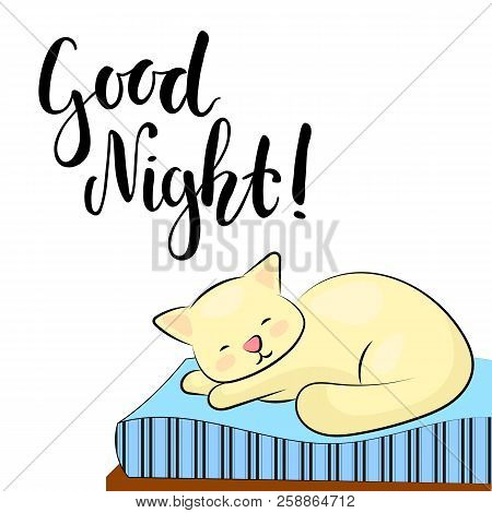 Sleeping Cat And Good Night Lettering Inscription. Good Night Vector Illustration On White Backgroun