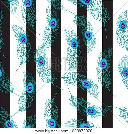 Peacock Feathers On A White Background With Dark Stripes. Seamless Pattern. You Can Use Fabrics