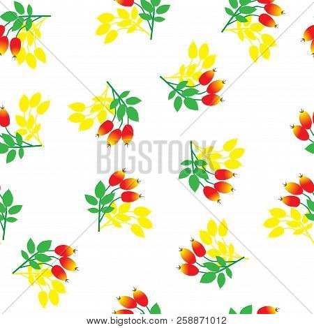 Red Berries Of A Dogrose. Back Background Is  White. Seamless Pattern. Use For Fabric.