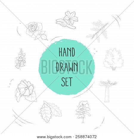 Set Of Plant Icons Line Style Symbols With Cypress Leaf, Mallow, Hazelnut Tree And Other Icons For Y