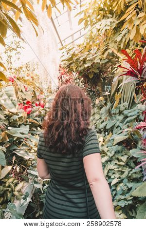 Beautiful Brunette Girl In A Green Dress Is Walking Among Dense Thickets Of Tropical Plants And And 