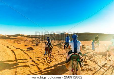 Camel Trek In The Desert Of Morocco Next To M'hamid