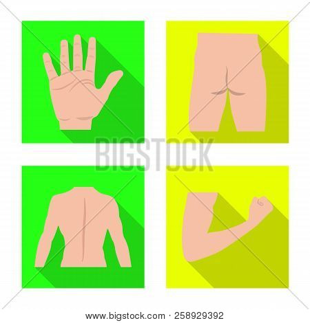 Vector Design Of Human And Part Icon. Set Of Human And Woman Vector Icon For Stock.