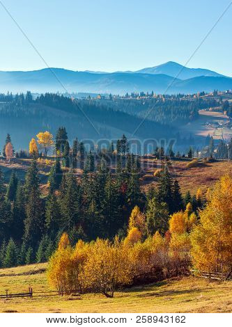 First  Sunrise Rays Of Sun And Shadows Through Fog And Trees On Slopes. Morning Autumn Carpathian Mo