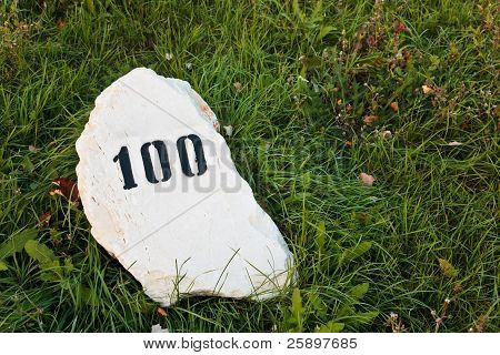Mile Stone In The Grass
