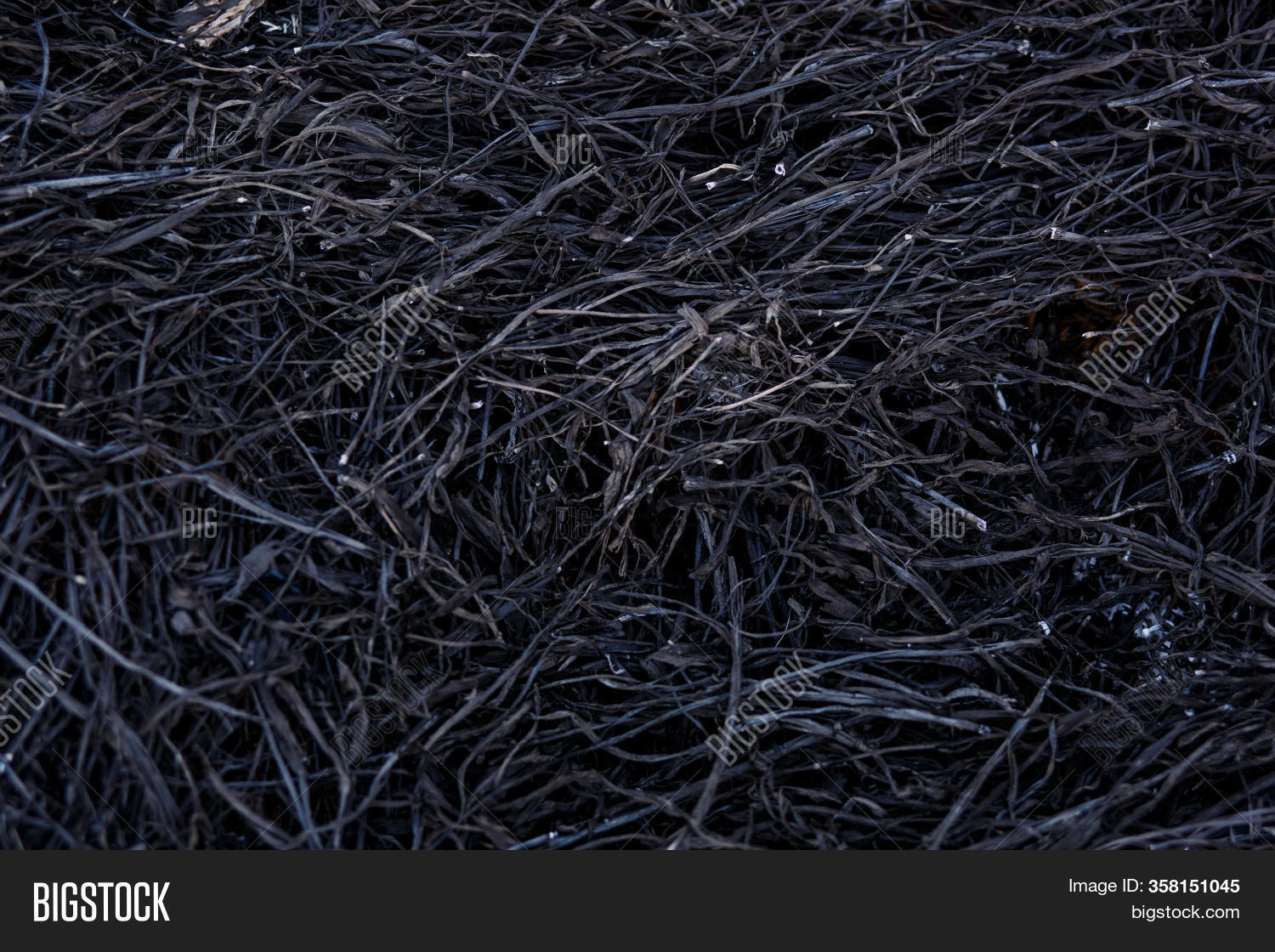 Black Background Burnt Image & Photo (Free Trial) | Bigstock