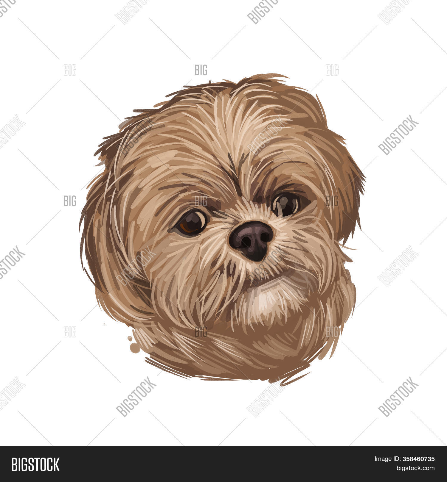 pekapoo poodle