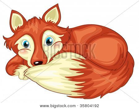 Abbildung von Fox auf weißem Hintergrund