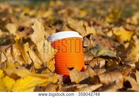 Orange Cups Lie In The Grass And Yellow Autumn Leaves, Close-up