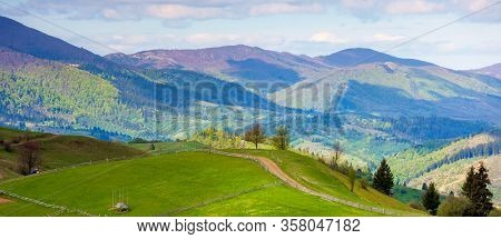 Rural Landscape In Mountains. Trees Along The Path Through Grassy Hill. Beautiful Nature Panorama In