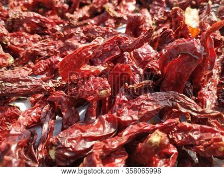 Red Chillies Bright Texture. Drying Mirchi In Sunny. Byadagi Mirchi, Indian Hot Spices. Chilli (caps