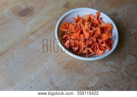 Small Bowl Of Delicate Cinnabar Chanterelle Mushrooms, Gourmet Food Ingredient, Copy Space, Horizont