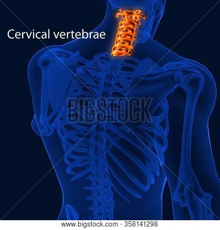 Joint Pain Can Be Caused By Injury Affecting Any Of The Ligaments, Bursae, Or Tendons Surrounding Th